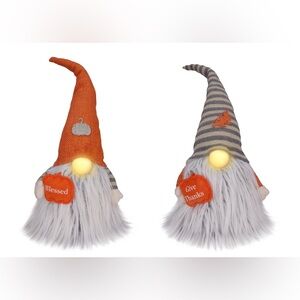 NEW Plush LED Fall Sentiment Gnomes